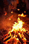 Family toasting marshmallows at campfire