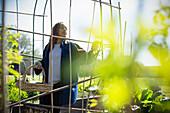 Young woman with basket under trellis in sunny garden