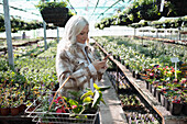 Woman with smart phone shopping for plants in garden shop
