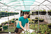 Male garden shop owner working in greenhouse
