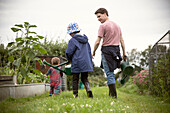 Father and sons with watering cans on allotment