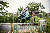 Brothers pouring water from watering cans in garden