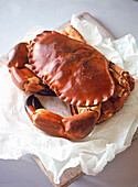 Cromer Crab