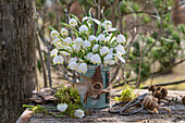 Frühlings-Knotenblume (Leucojum vernum), auch Märzenbecher, Großes Schneeglöckchen, in Blumenvase