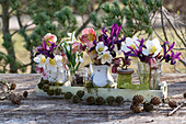Deko mit Lila Netzblatt-Schwertlilie (Iris reticulata), Schneeglöckchen (galanthus) und Christrosen (Helleborus niger)