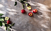 Pink Lady Apples on a concrete background in shaded light