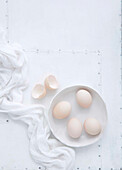 Frische Eier, Eierschalen und Mulltuch auf weißem Untergrund