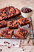 Brownies with chocolate chips on a cooling rack