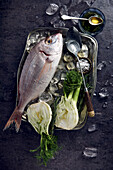 Pink bream and fennel