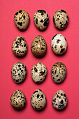 Quail eggs on a pink background