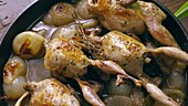 Quails with onions in white wine - Step by step