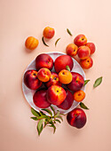 Nectarines and apricots against a colored background
