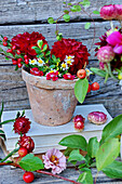 Autumnal flowers with dahlias, ornamental apples and daisies in a clay pot