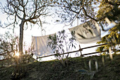 Garten mit Wäscheleine bei Sonnenuntergang, Fermo, in den Marken, Adria, Italien