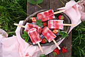 Rhabarber-Erdbeer Eis am Stiel