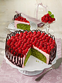 Raspberry tart with spinach filling and a chocolate 'fence'