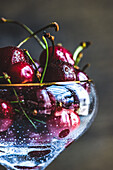 Organic sweet cherries in a champagne glass (Close Up)