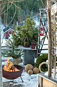 Fire pit and Christmas decoration in front of the greenhouse