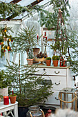Greenhouse with Christmas decorations