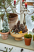 Christmas decoration with cones and candles