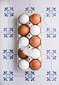 Fresh brown and white eggs with a feather in an egg carton