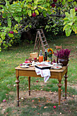 Kuchen, Säfte, Sonnenblume und Heidekraut auf Tisch unter Apfelbaum im Garten