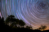 Star trails above silhouette of trees