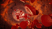 Red blood cells flowing through artery, illustration