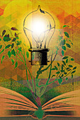Light bulb on tree growing from book, illustration