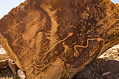 Freemont Culture petroglyphs on a rock art panel, Utah, USA