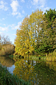 Autumn trees and canal