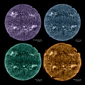 Sun, mosaic Solar Orbiter images