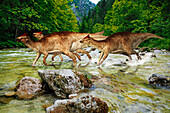 Arenysaurus herd crossing water, illustration