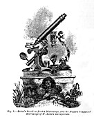Pocket microscope, 19th century illustration