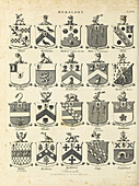 Baronets heraldry, illustration