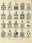 Esquires and gentlemen heraldry, illustration