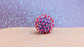 Soap molecules capturing coronavirus, illustration