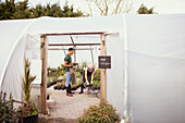 Garden shop owners working in greenhouse