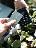 Close up man paying for plants with smart card