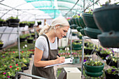 Female plant nursery owner inspecting hanging baskets