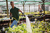Male garden shop owner watering plants with hose
