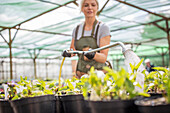 Woman watering plants with hose in garden shop