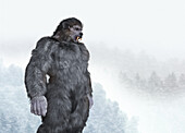 Bigfoot, illustration