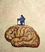 Schoolboy working at a desk on a brain, illustration
