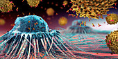 Lymphocytes cells attacking a cancer cell, illustration