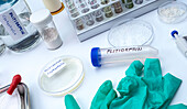 Plitidepsin antiviral drug research, conceptual image