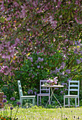 Flowering lilac 'Michel Buchner' in the garden (Syringa), ornamental apple 'Rudolph'.