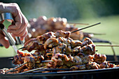 Barbecue skewers with chicken