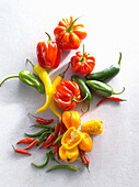 Different kinds of chilies