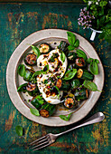 Grilled zucchini with burrata and balsamic vinegar
